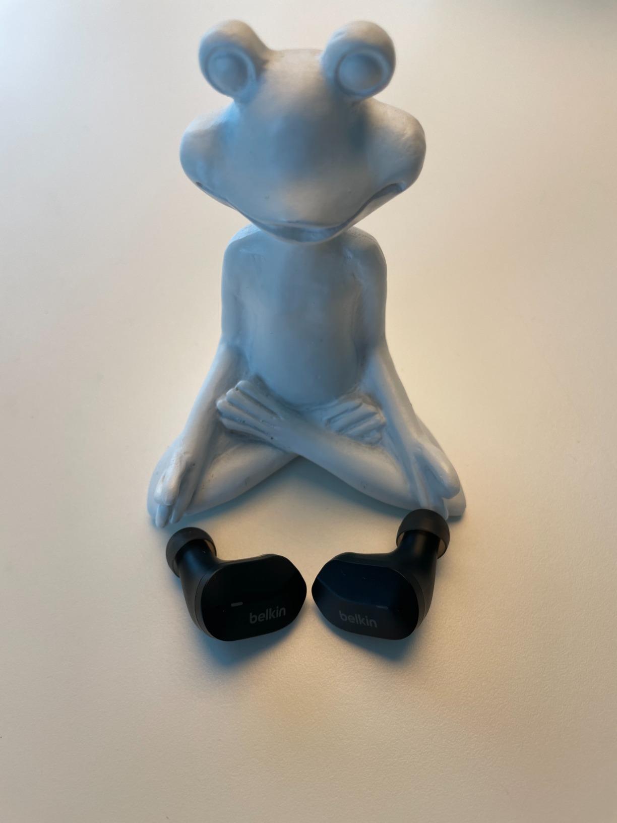 Tolle Earbuds mit kleinen Abstrichen