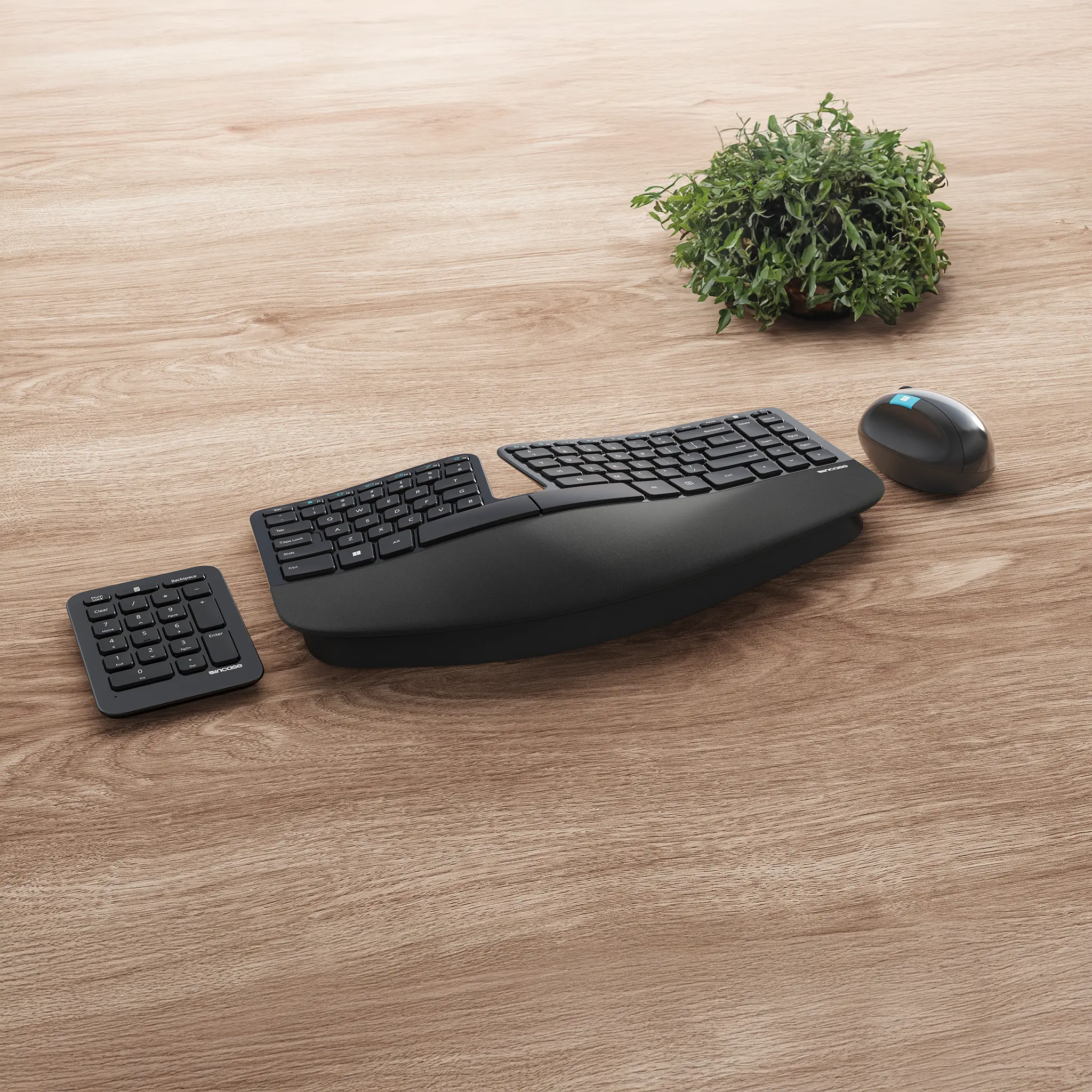 incase-designed-by-microsoft-sculpt-ergonomic-desktop image 2